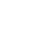 Danil Rodin Twitter